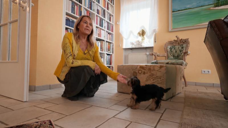 Rocky Reisse aus Rödermark wird stubenrein