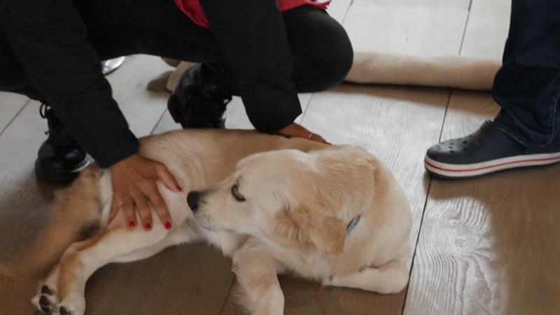 Abbys Erziehung wurde etwas vernachlässigt