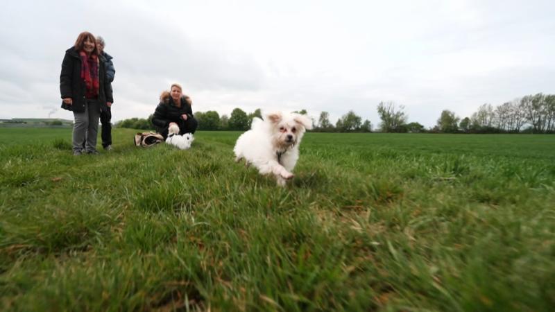 Teddy und Ella im Mannheimer Matschwetter