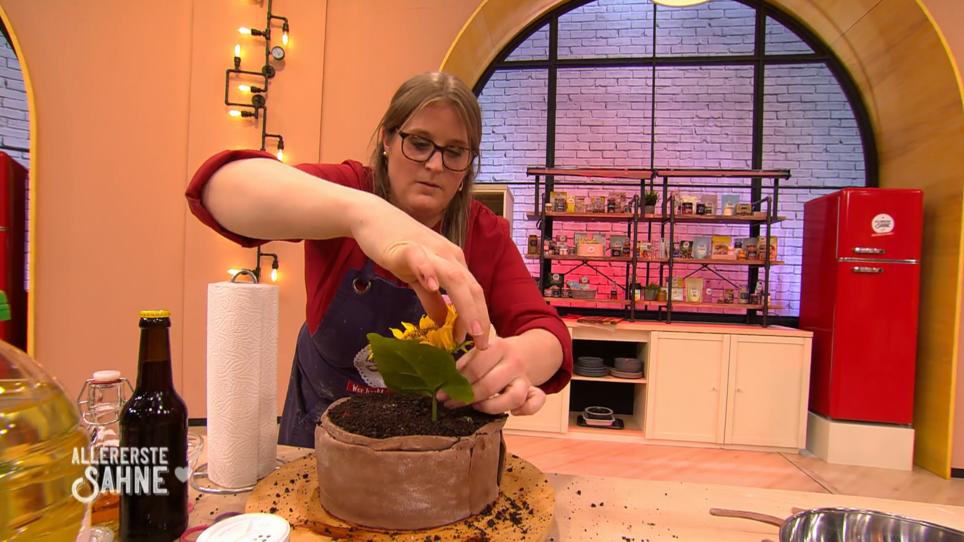 Die Blumentopf-Torte: Der letzte Schliff Die Blumentopf-Torte: Der letzte Schliff