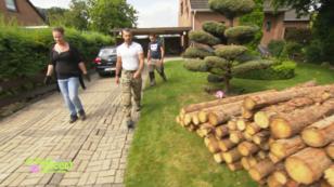 Stollenbau heißt: Stämme schleppen! Stollenbau heißt: Stämme schleppen!