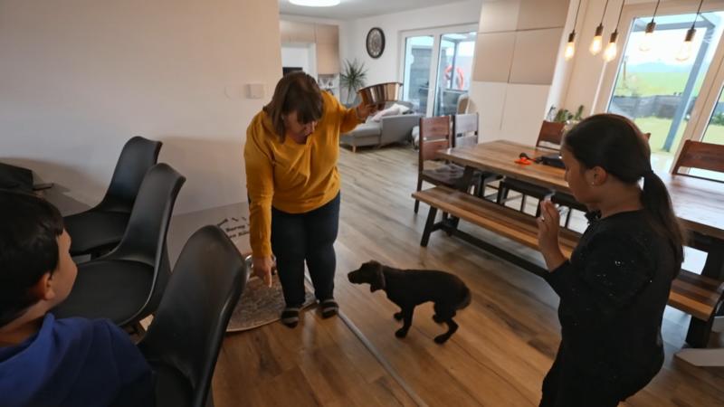 Wildfang Barny braucht Disziplin