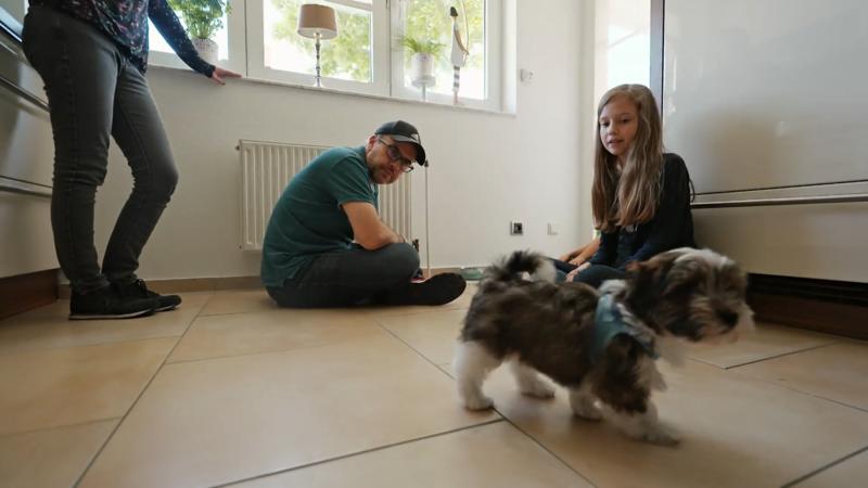 Welpe Fiete auf Erkundungstour