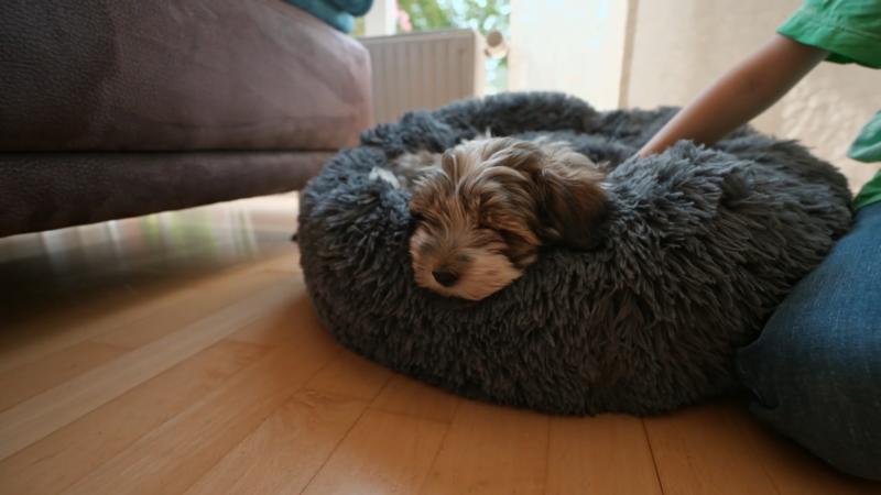 Der perfekte Schlafplatz für Fiete