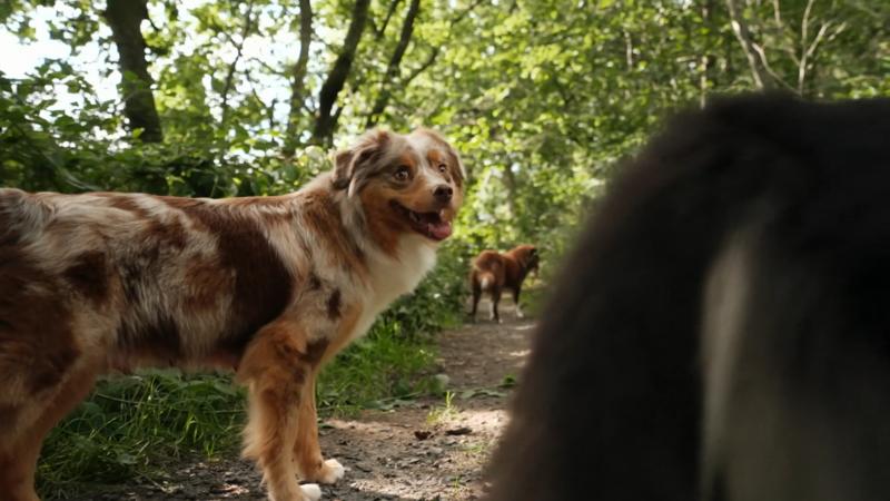 Ausflug für die Erwachsenen