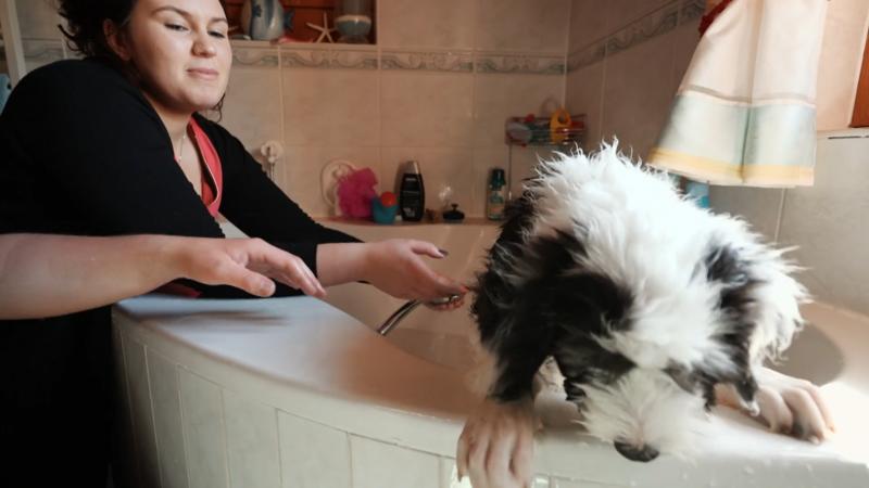 Balou hat ein Problem mit baden