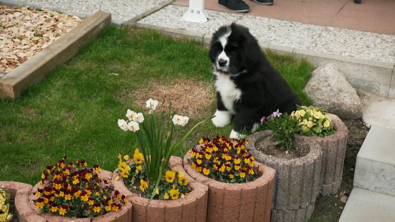 Begrüßungsgeschenke für Bonnie