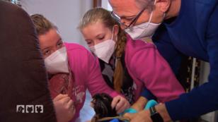 Weder trinkt noch isst die Katze Weder trinkt noch isst die Katze