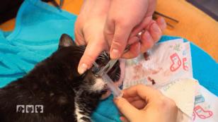 Babsi müssen Zähne gezogen werden Babsi müssen Zähne gezogen werden