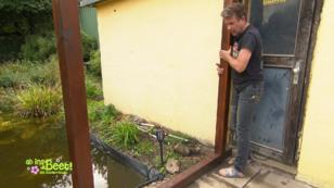 Tipps vom Meister Tipps vom Meister