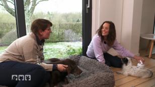 Die besten Massagegeräte für Mensch und Tier Die besten Massagegeräte für Mensch und Tier