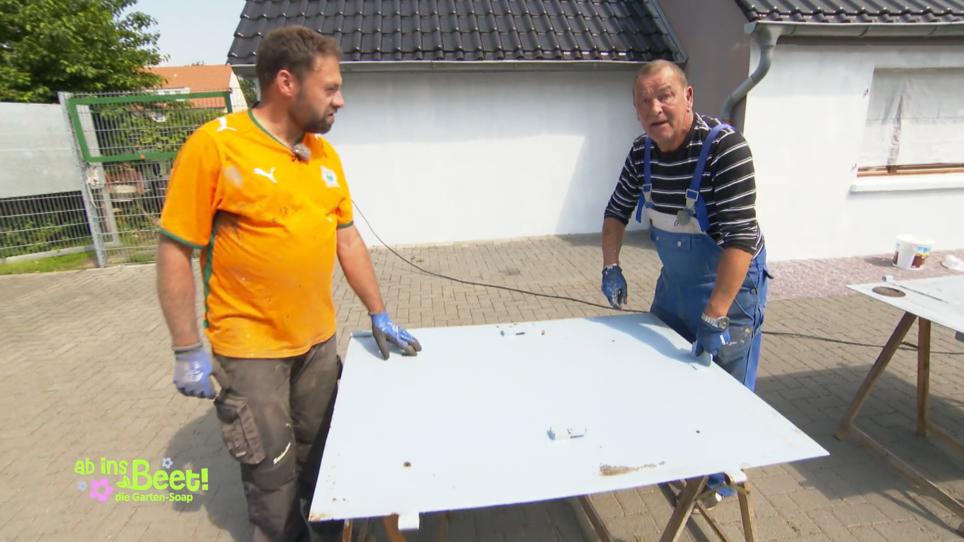 Wie wär's mit einem Kleingarten-Punktesystem?! Wie wär's mit einem Kleingarten-Punktesystem?!