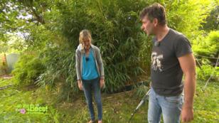 Frank und Claudia ernten Baumaterial Frank und Claudia ernten Baumaterial