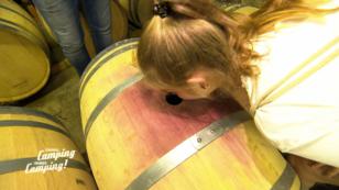 Den Rotwein riecht man meilenweit Den Rotwein riecht man meilenweit