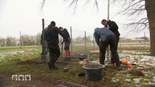 Der Verein Bollerherzen e.V nimmt Gestalt an Der Verein Bollerherzen e.V nimmt Gestalt an