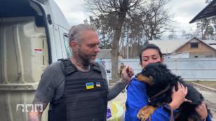 Harter Einsatz - selbst für "Harte Hunde" Harter Einsatz - selbst für "Harte Hunde"