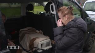 Schwerer Abschied von den Nachtäffchen Schwerer Abschied von den Nachtäffchen
