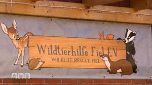 In der Wildtierhilfe Fiel e.V. In der Wildtierhilfe Fiel e.V.