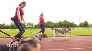 Was muss beim Joggen beachtet werden? Was muss beim Joggen beachtet werden?