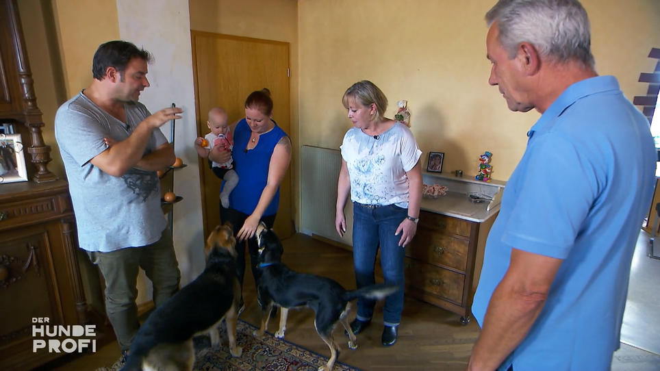 Ronja und Buddy sind nicht mehr wieder zu erkennen Ronja und Buddy sind nicht mehr wieder zu erkennen