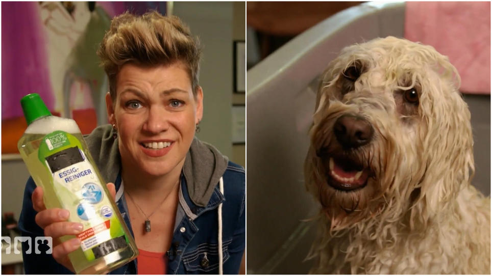 Hundeshampoo unterliegt lediglich der Putzmittel-Verordnung Hundeshampoo unterliegt lediglich der Putzmittel-Verordnung