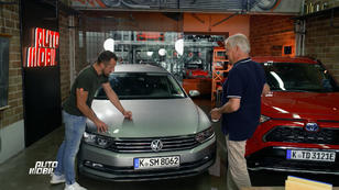 Was tun gegen lästige Insekten am Auto? Was tun gegen lästige Insekten am Auto?
