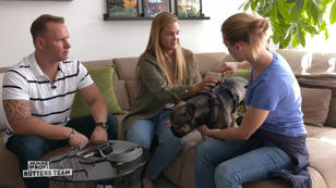 Wie bekommt man Wildfang Louie in den Griff? Wie bekommt man Wildfang Louie in den Griff?