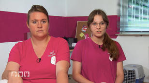 Der Tiernotdienst wird gebraucht Der Tiernotdienst wird gebraucht