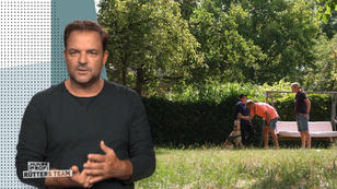 Wie weit ist der Fortschritt? Wie weit ist der Fortschritt?
