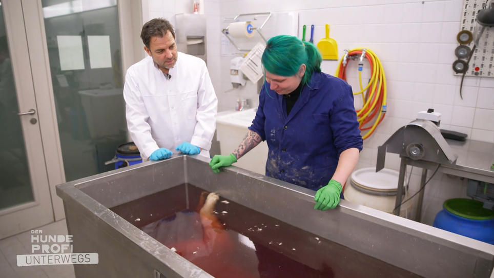 Ab in die Wanne - Dabei sind Katzen doch wasserscheu? Ab in die Wanne - Dabei sind Katzen doch wasserscheu?