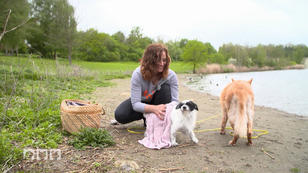 Stinkende Hunde - Was ist da dran? Stinkende Hunde - Was ist da dran?