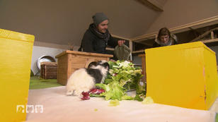 Nachhaltige Kleintierhaltung - Wie geht das? Nachhaltige Kleintierhaltung - Wie geht das?