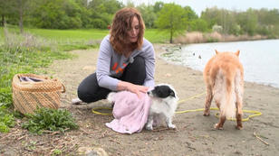 Hilfe, mein Hund stinkt! Wir verraten, was Sie tun können Hilfe, mein Hund stinkt! Wir verraten, was Sie tun können