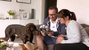 Die neuesten und verrücktesten Hunde Gadgets Die neuesten und verrücktesten Hunde Gadgets