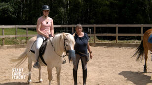 Der Reitstall - Ein großer Pluspunkt Der Reitstall - Ein großer Pluspunkt