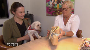 Hundegadgets werden geprüft Hundegadgets werden geprüft