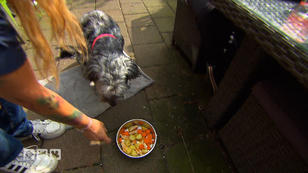 Wiebke kocht für Hund Amy mit Wiebke kocht für Hund Amy mit
