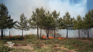 In Brandenburg steht der Wald in Flammen! In Brandenburg steht der Wald in Flammen!