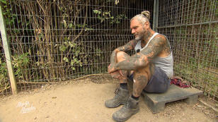 Ralf hat Mitgefühl für abgeschobene Hunde Ralf hat Mitgefühl für abgeschobene Hunde