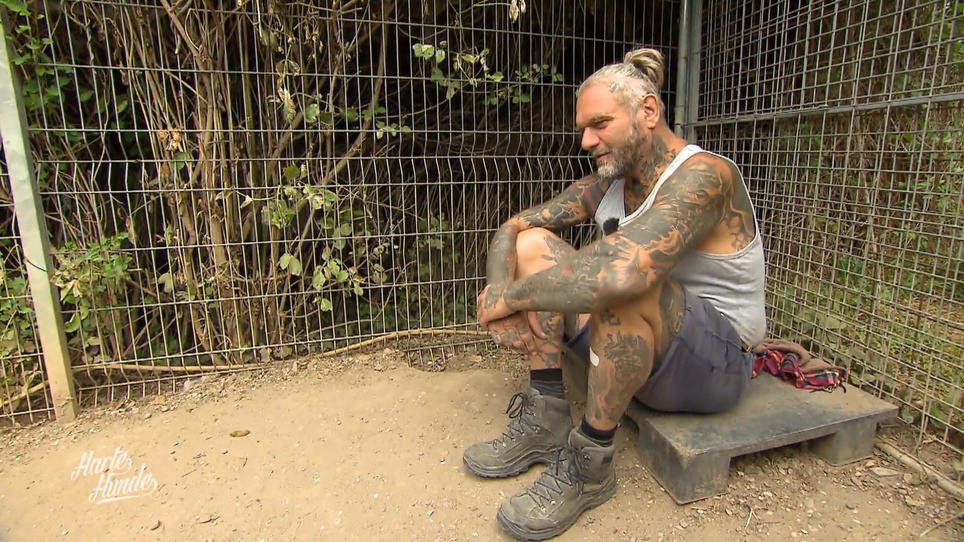 Ralf hat Mitgefühl für abgeschobene Hunde Ralf hat Mitgefühl für abgeschobene Hunde