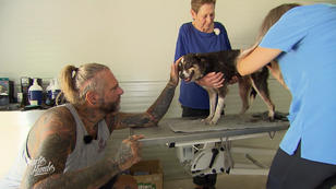 Der Hundewaschsalon wird eingeweiht Der Hundewaschsalon wird eingeweiht