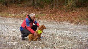 Floki wird zum Lawinenhund ausgebildet Floki wird zum Lawinenhund ausgebildet
