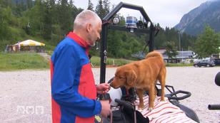Lawinenhund Floki das erste Mal auf dem Quad! Lawinenhund Floki das erste Mal auf dem Quad!