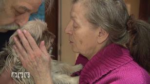 Günter, Ute und ihre zwölf Hunde Günter, Ute und ihre zwölf Hunde