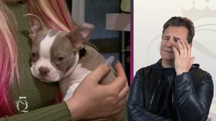 Lena: Herz für Tiere und Schuhtick! Lena: Herz für Tiere und Schuhtick!