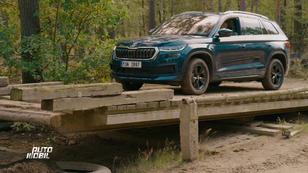 Wie Offroad-Beständig sind diese drei Fahrzeuge? Wie Offroad-Beständig sind diese drei Fahrzeuge?