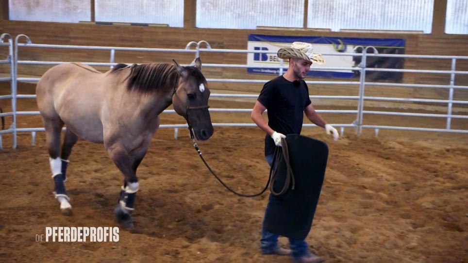 Niklas beginnt das Training mit Shadow Niklas beginnt das Training mit Shadow