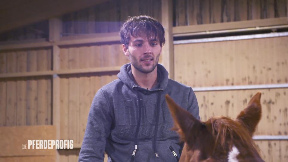 Niklas setzt sich auf Stute Jaz Niklas setzt sich auf Stute Jaz
