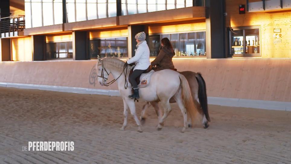 Reittraining mit Nicero und Vanessa Reittraining mit Nicero und Vanessa