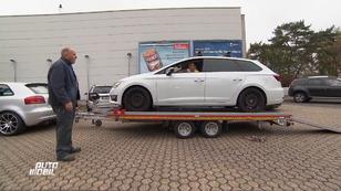 Seat von werdender Familie muss gerettet werden! Seat von werdender Familie muss gerettet werden!